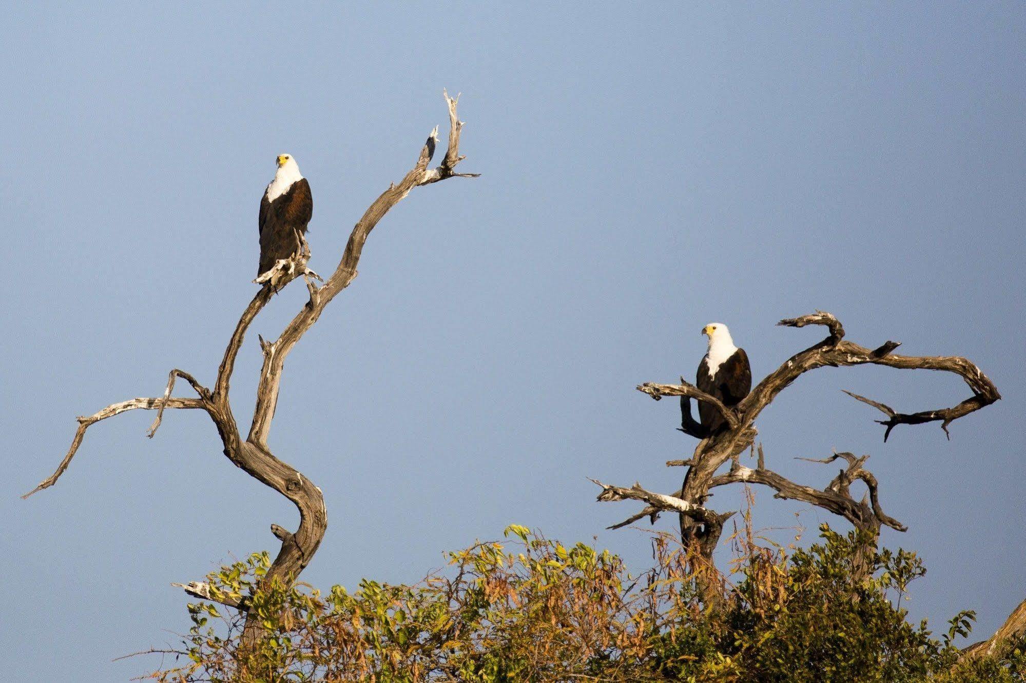 Gondwana Hakusembe River Lodge 룬두 외부 사진